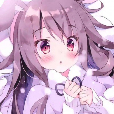 莫氏鸡煲黄牛号已炒至200元